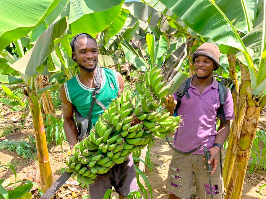 From Praia: Banana Plantation Tour and Cuscuz Workshop - From Praia to Santa Cruz, an easy start to the day
