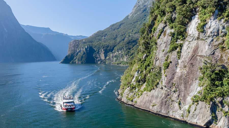 From Queenstown: Coach, Farm Tour & Milford Nature Cruise - A farm morning before Milford Sound