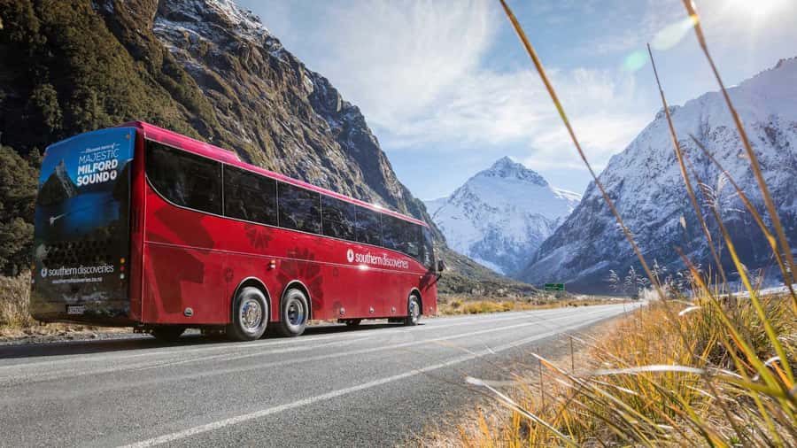 From Queenstown: Coach, Farm Tour & Milford Nature Cruise - Commentary in English and through the app