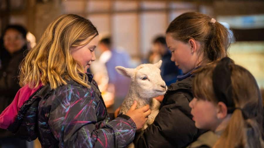 From Queenstown: Coach, Farm Tour & Milford Nature Cruise - Weather, clothing, and possible changes