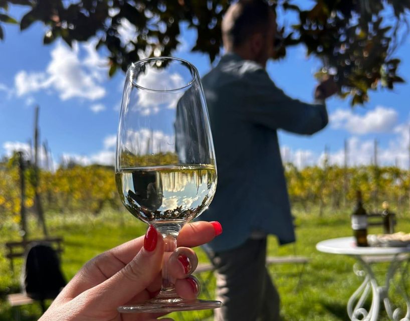From Rome: Half-Day Frascati Wine Tour with Farmhouse Lunch - Three wines, EVO oil, and what the tasting includes