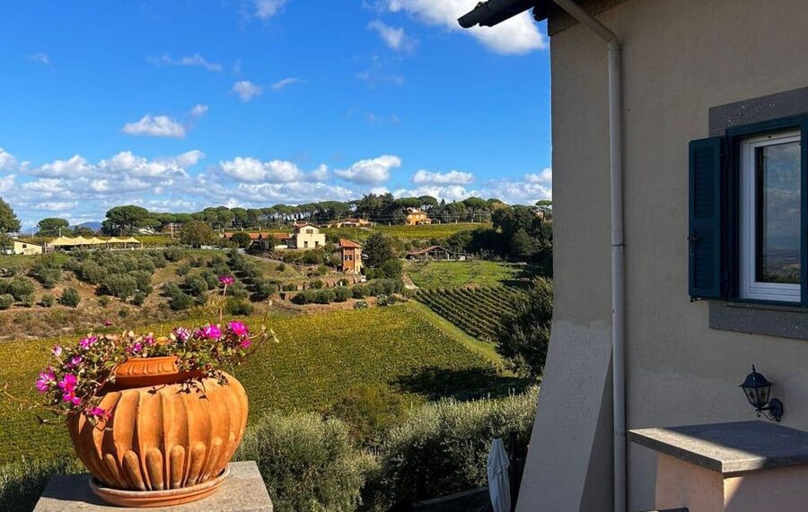 From Rome: Half-Day Frascati Wine Tour with Farmhouse Lunch - How the $99 price compares with what you receive
