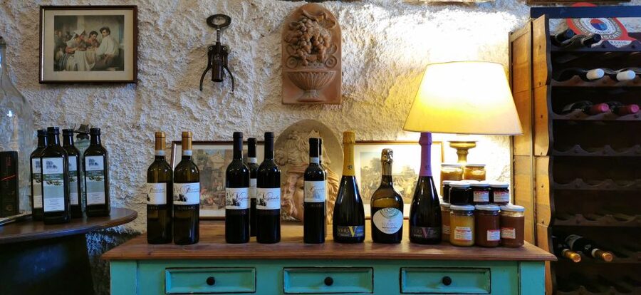 From Rome: Half-Day Frascati Wine Tour with Farmhouse Lunch - Who will enjoy this Frascati outing most