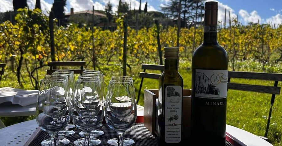 From Rome: Half-Day Frascati Wine Tour with Farmhouse Lunch - The 20-minute train ride from Roma Termini