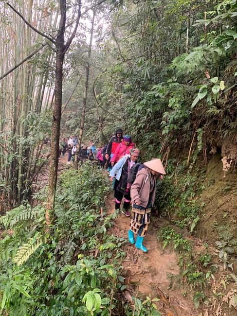From Sapa : 1 Day Amazing Sapa Trek To Terrace rice field - Who will enjoy this Sapa trek