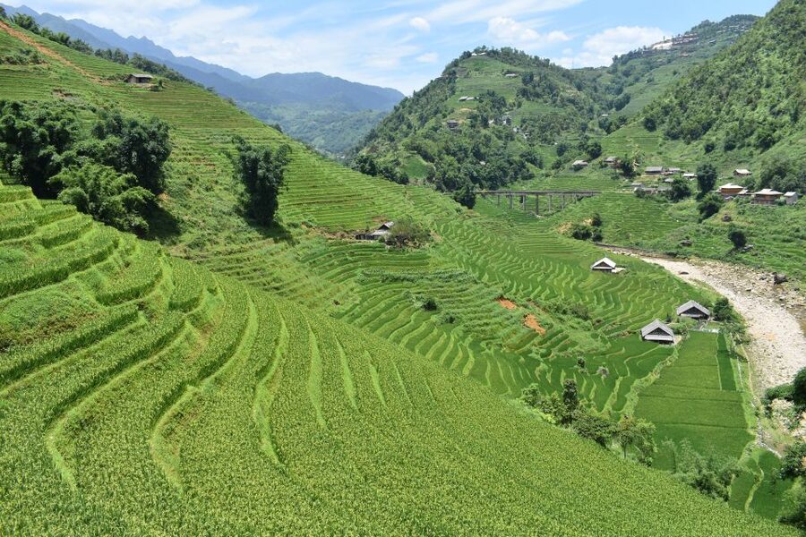 From Sapa: 1-Day Trekking through Terraces Rice Fields - How difficult is the trek?