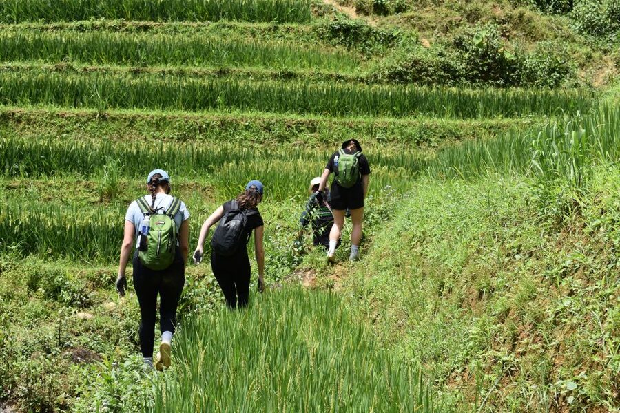 From Sapa: 1-Day Trekking through Terraces Rice Fields - The optional herbal bath at day’s end