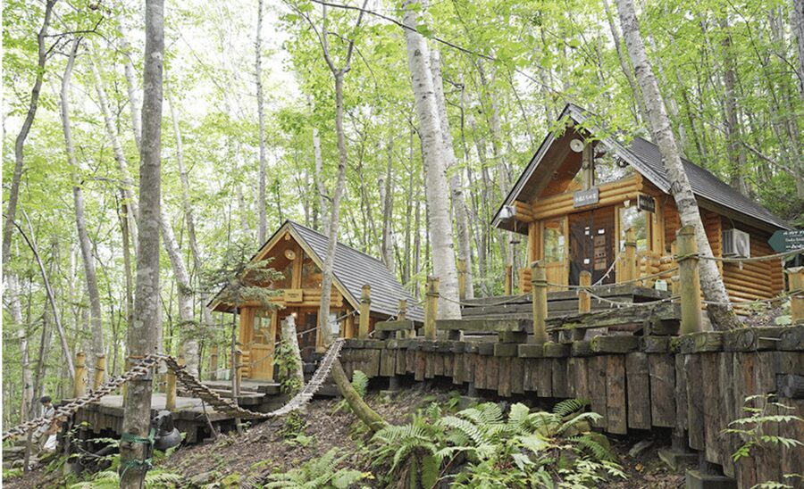 From Sapporo : Hokkaido Furano Tomita Farm Joiner Tour - Ningle Terrace, wooden cabins in the forest