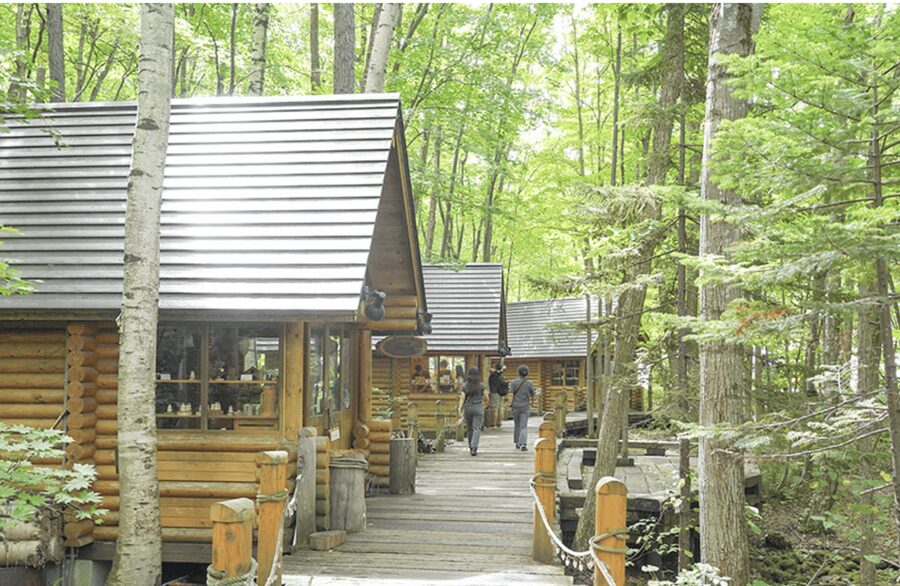 From Sapporo : Hokkaido Furano Tomita Farm Joiner Tour - The winter route needs a closer look