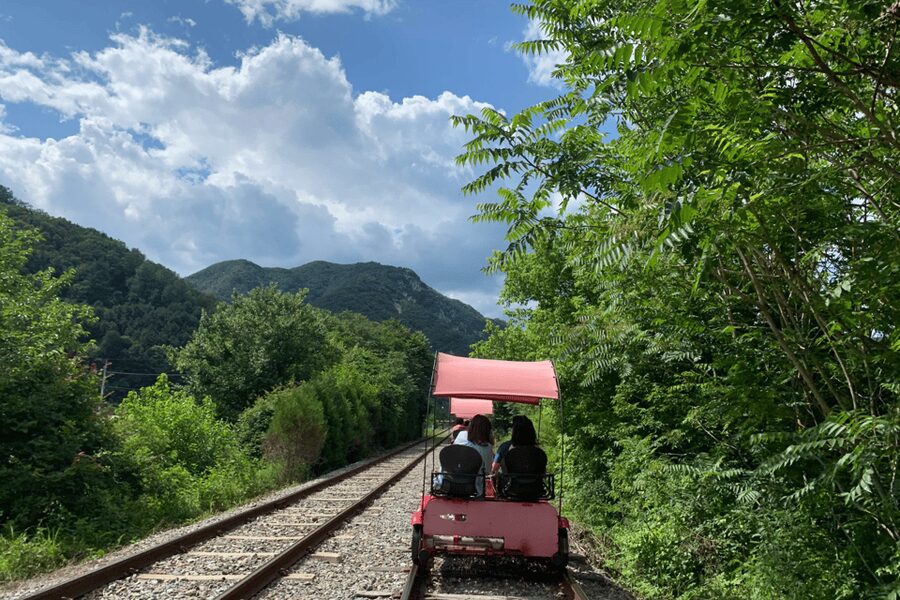 From Seoul: Full Day Trip to Alpaca Farm with Rail Bike - Key points at a glance