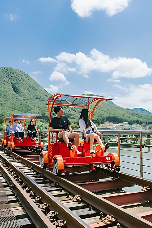 From Seoul: Full Day Trip to Alpaca Farm with Rail Bike - Should you book the $59 tour?