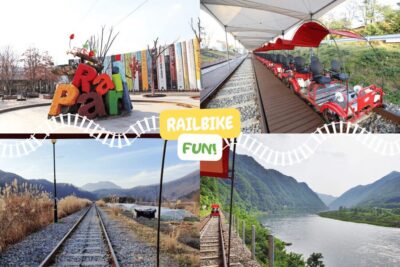 Full Day Trip to Alpaca Farm with Rail Bike