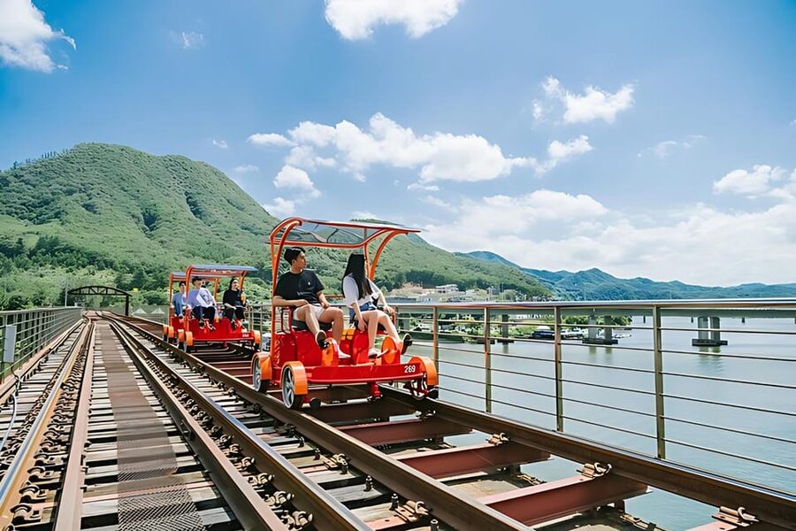 From Seoul: Full Day Trip to Alpaca Farm with Rail Bike - Vivaldi Park and the luge choice