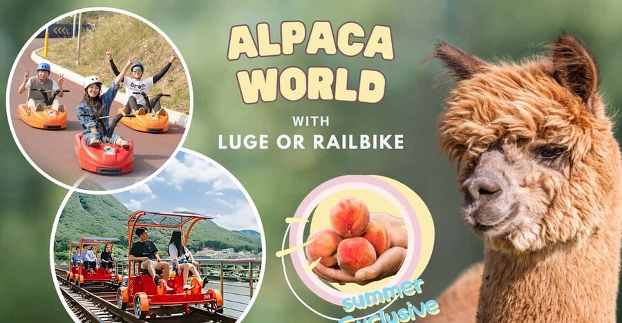 From Seoul: Full Day Trip to Alpaca Farm with Rail Bike - Lunch is simple and separate