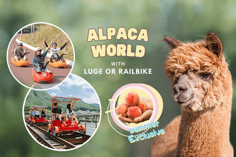 From Seoul: Full Day Trip to Alpaca Farm with Rail Bike - Alpaca World is more than an alpaca photo
