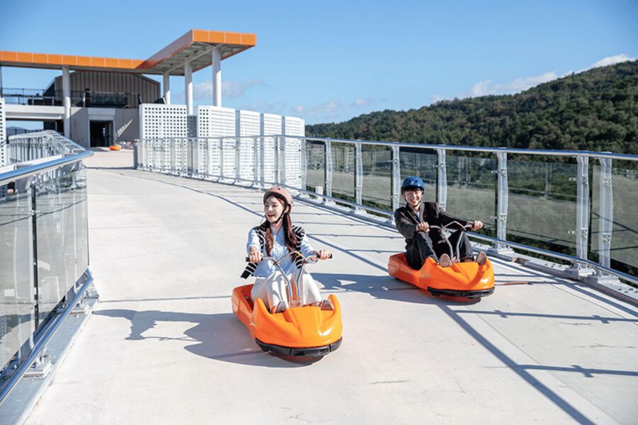 From Seoul: Full Day Trip to Alpaca Farm with Rail Bike - Guides, language support, and the pace of the day