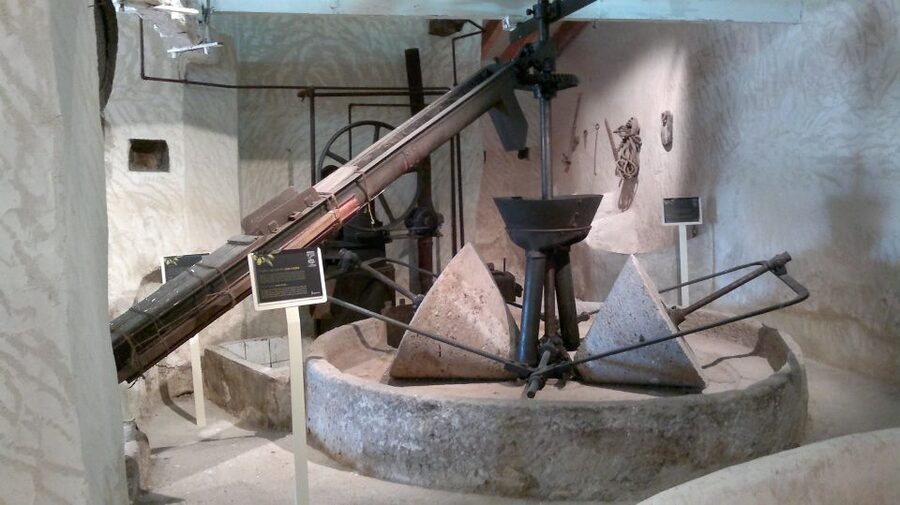 From Seville: Olive Oil Farm Tour - Leaving Seville for Andalusia’s olive country