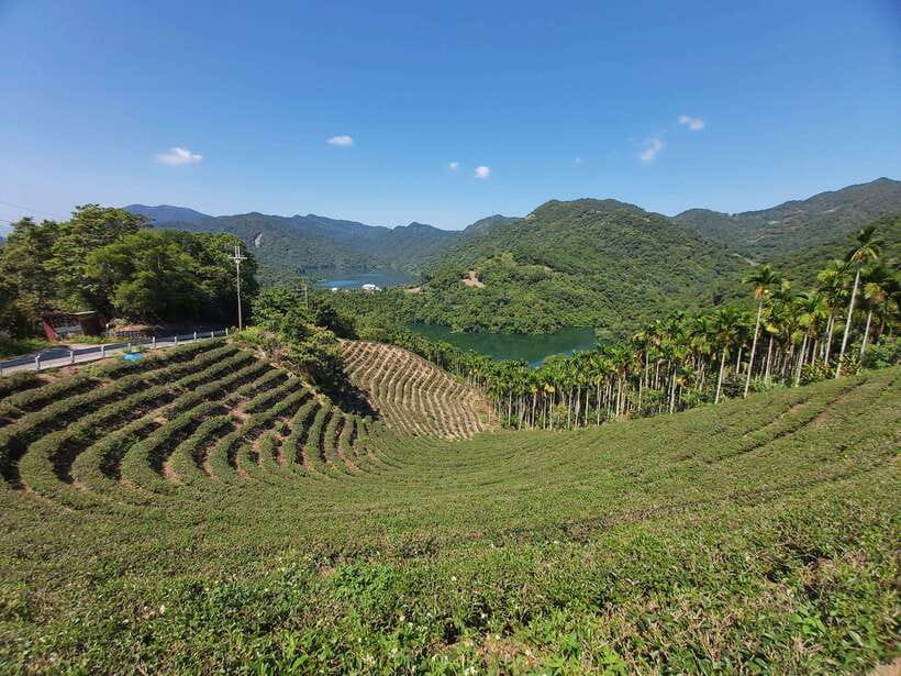 From Taipei: Thousand Island Lake and Pinglin Tea Plantation - Who should book this outing?