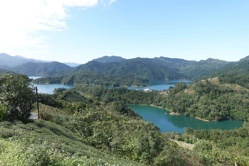 From Taipei: Thousand Island Lake and Pinglin Tea Plantation - Brewing tea properly at a local shop