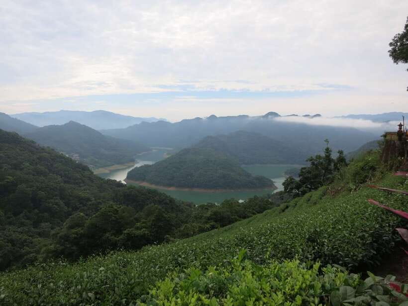 From Taipei: Thousand Island Lake and Pinglin Tea Plantation - The $40 question: is it good value?