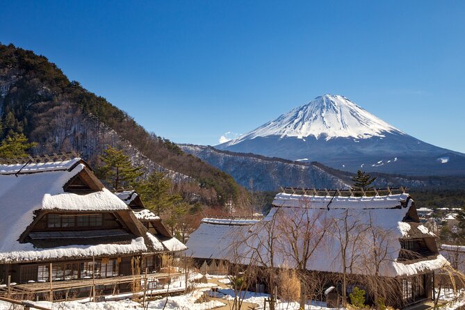 From Tokyo Mt.Fuji, Lake Kawaguchi, Makaino Farm day tour - Makaino Farm, the tour’s most unusual stop