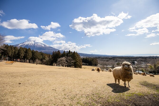 From Tokyo Mt.Fuji, Lake Kawaguchi, Makaino Farm day tour - What the transport and group size mean