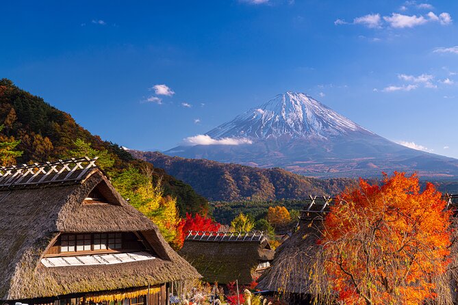 From Tokyo Mt.Fuji, Lake Kawaguchi, Makaino Farm day tour - Who should book this day out?