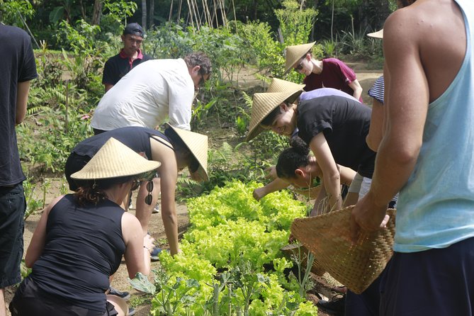 From Ubud: Authentic Bali Farm Cooking School & Organic Farm - Who will enjoy this experience most