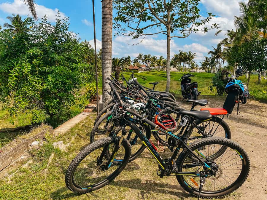 From Ubud: Downhill Bike Tour with Rice Terraces and Meal - Key points to know before booking