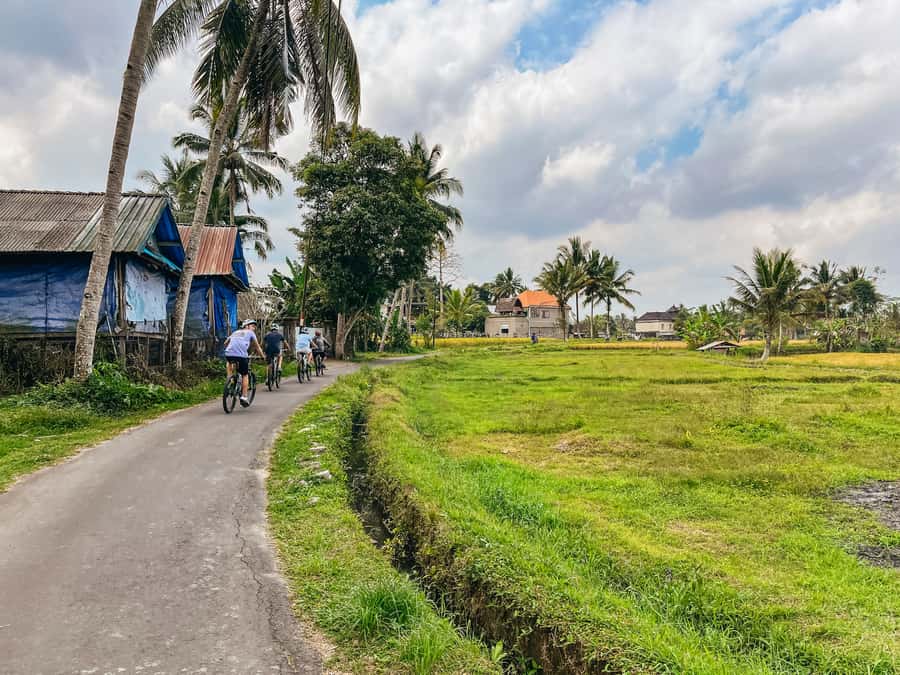 From Ubud: Downhill Bike Tour with Rice Terraces and Meal - Coffee tasting and breakfast at an organic plantation