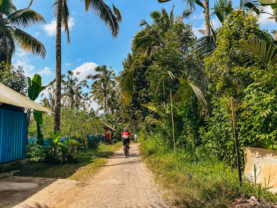 From Ubud: Downhill Bike Tour with Rice Terraces and Meal - Villages, schools, temples, and local families