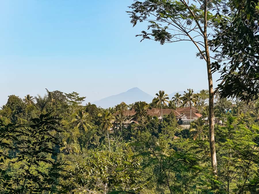From Ubud: Downhill Bike Tour with Rice Terraces and Meal - What to bring and how to prepare