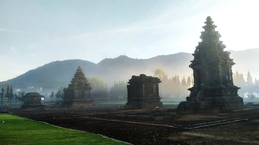 From Yogyakarta: Dieng Tour, Golden Sunrise & Tea Plantation - Why this Dieng day begins at midnight