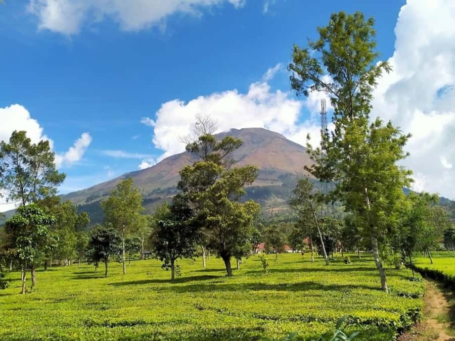 From Yogyakarta: Dieng Tour, Golden Sunrise & Tea Plantation - Sikidang Crater and the smell of sulfur