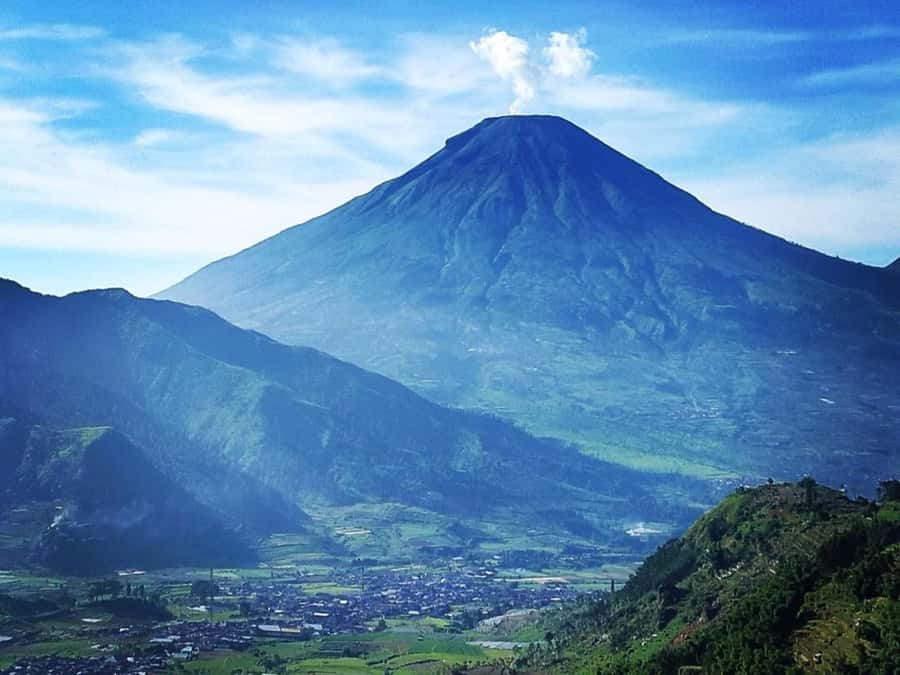 From Yogyakarta: Dieng Tour, Golden Sunrise & Tea Plantation - Tambi Tea Gardens on Mount Sindoro’s slope