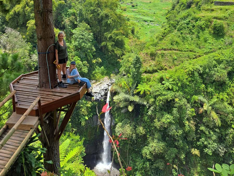 From Yogyakarta: Hidden Waterfall & Selogriyo Rice Terraces - Starting with Selogriyo’s rice terraces