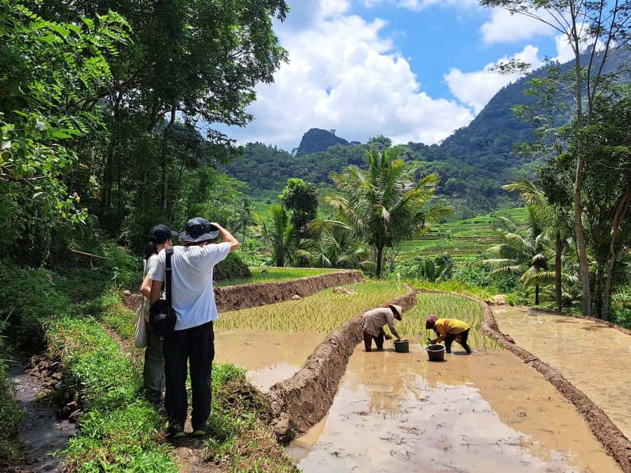 From Yogyakarta: Hidden Waterfall & Selogriyo Rice Terraces - Coffee with a view near the fields