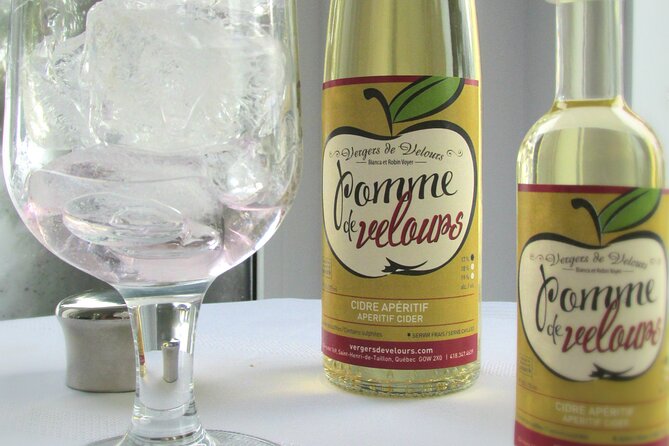 Fruit alcohol tasting + Velvet Orchards audio tour - The terrace overlooking Lac-Saint-Jean