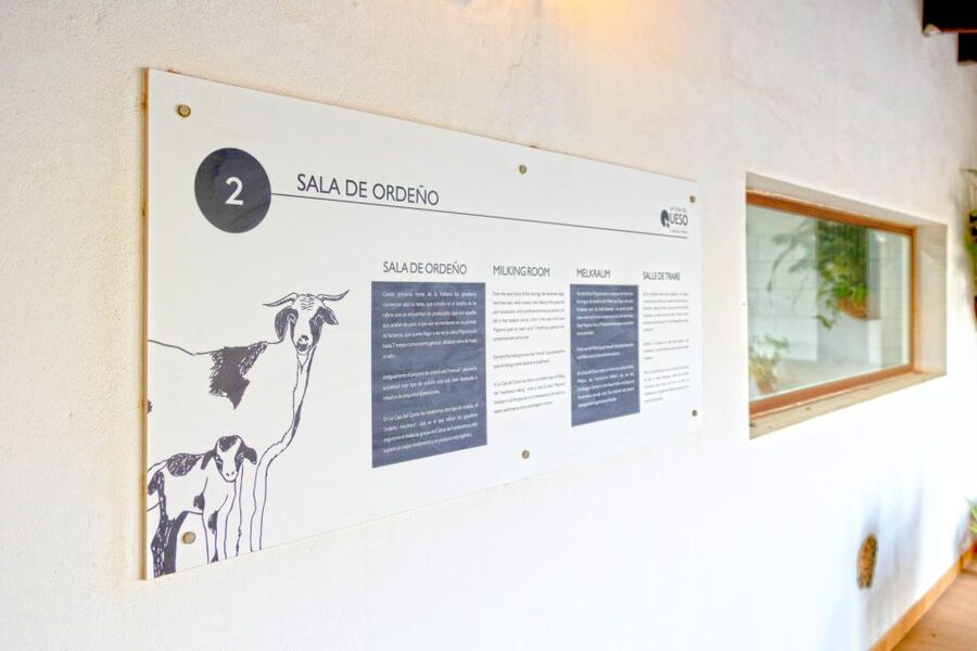 Fuerteventura: Artisan Goat's Cheese Making at Local Farm - Starting with coffee and the goat herd