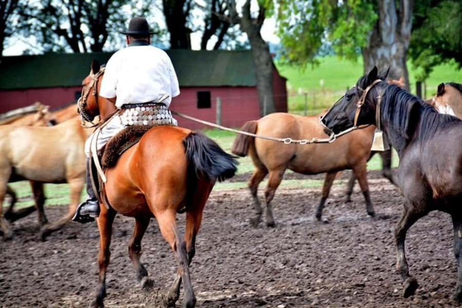 Full-Day at Santa Susana Ranch with BBQ, Drinks and Show - Who will enjoy this full-day outing?