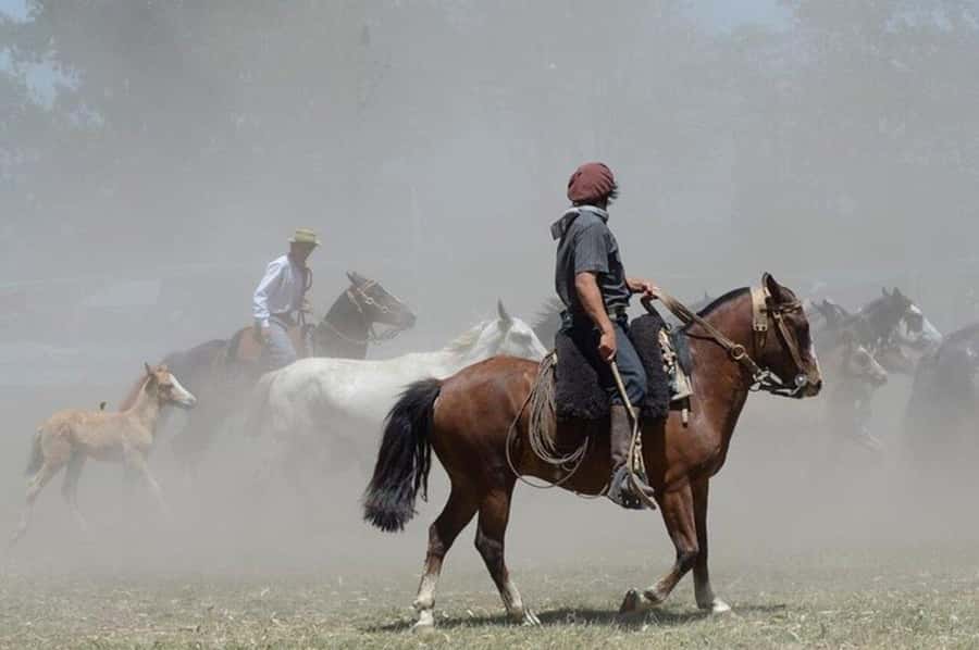 Full-Day at Santa Susana Ranch with BBQ, Drinks and Show - Should you book Santa Susana Ranch?