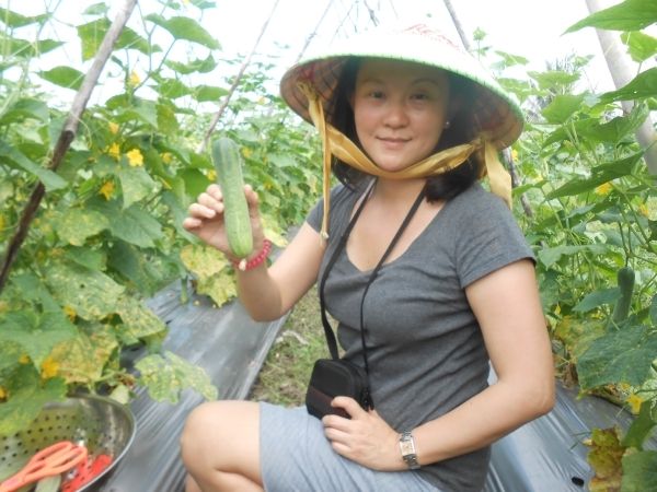 Full-Day Farming & Cooking class at Agricultural Village - Key points at a glance