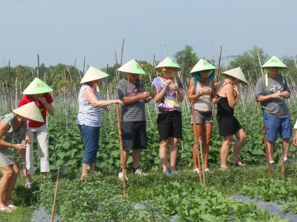 Full-Day Farming & Cooking class at Agricultural Village - A farm morning beyond Ho Chi Minh City