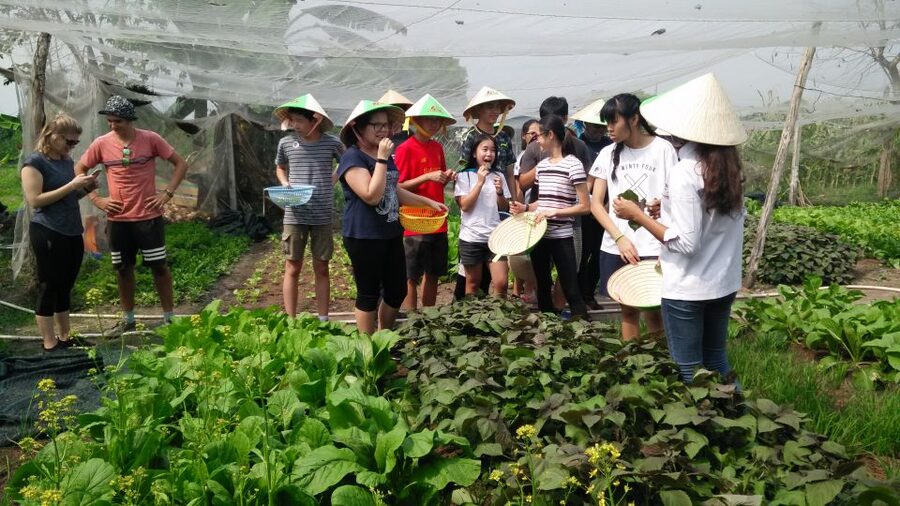 Full-Day Farming & Cooking class at Agricultural Village - Lunch, iced tea, and the surprise dessert