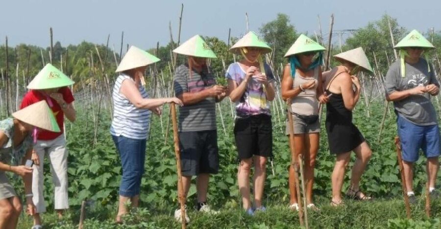 Full-Day Farming & Cooking class at Agricultural Village - Meeting cows, gardens, and local produce