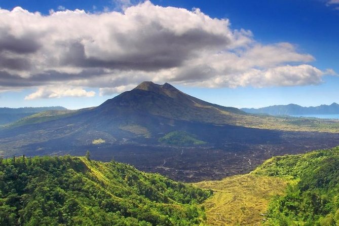 Full-Day : Kintamani Volcano - Jungle Swing - Rice Terrace - Waterfall - Temple - Key points to know before booking