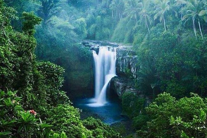 Full-Day : Kintamani Volcano - Jungle Swing - Rice Terrace - Waterfall - Temple - Why this route works for a first look at Bali
