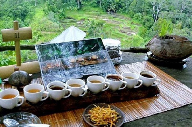 Full-Day : Kintamani Volcano - Jungle Swing - Rice Terrace - Waterfall - Temple - Kintamani Volcano: the high point of the day