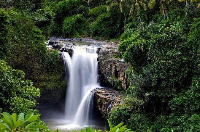 Full-Day : Kintamani Volcano - Jungle Swing - Rice Terrace - Waterfall - Temple - Tegalalang Rice Terrace and the included swing