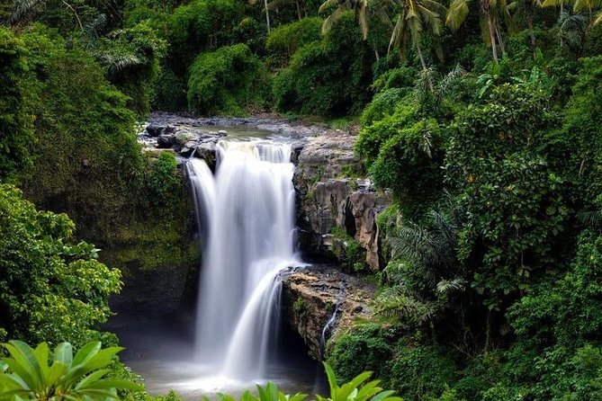 Full-Day : Kintamani Volcano - Jungle Swing - Rice Terrace - Waterfall - Temple - What $70 includes, and where the value lies